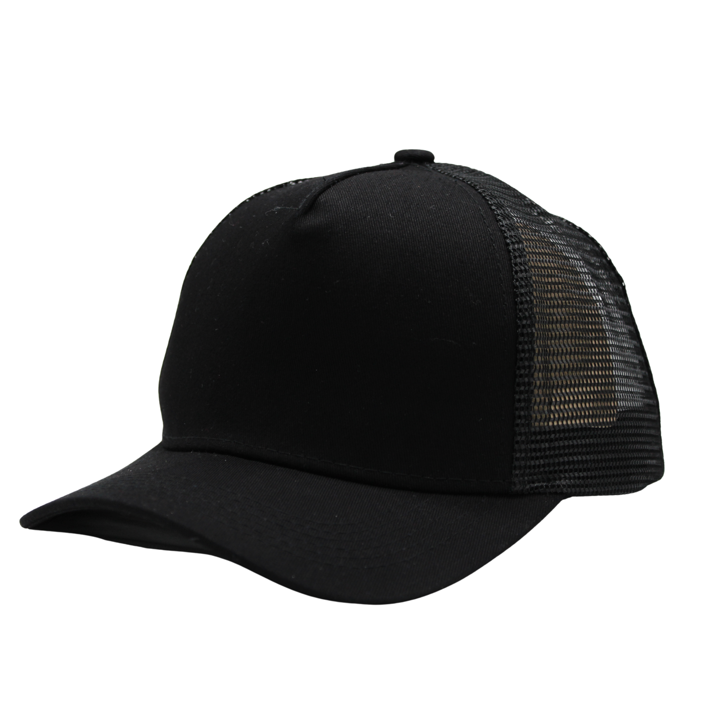 6 Panel Canvas Cap