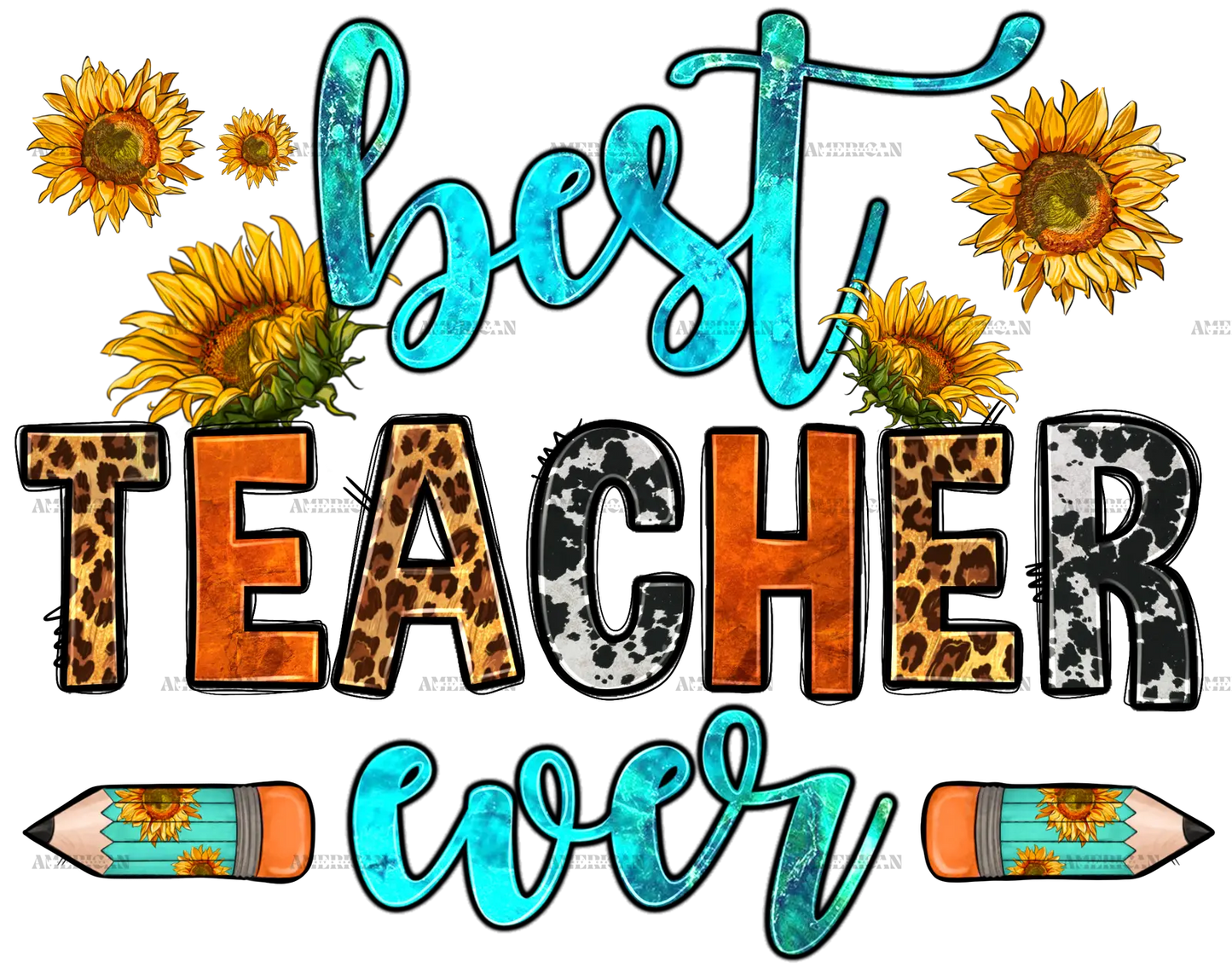 Best_Teacher_Ever.png