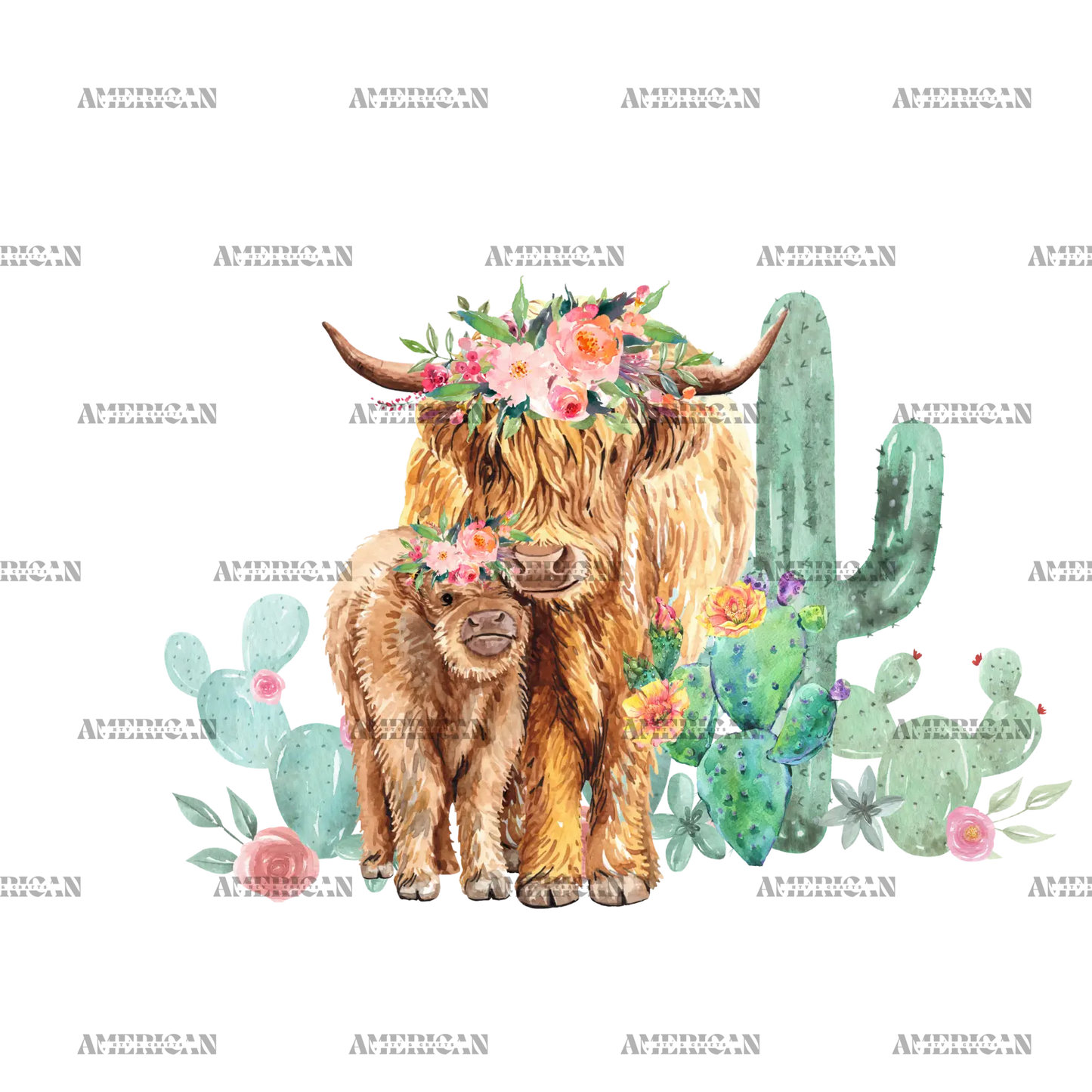 Western_Heifers