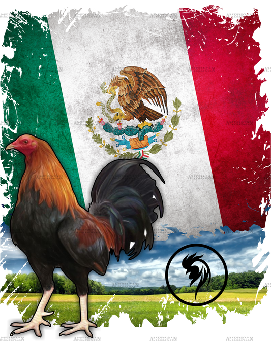 Gallo Rooster Dtf Transfer